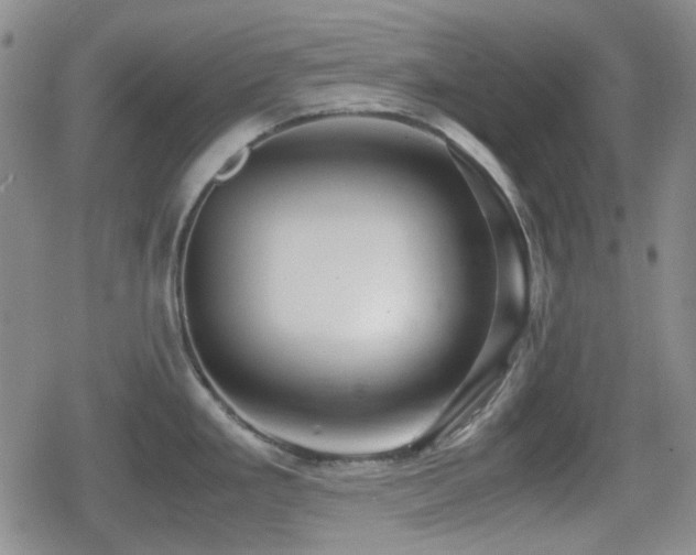 X0000080711293200612151124