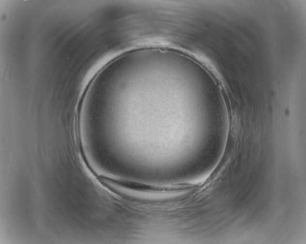 X0000080711295200612151124
