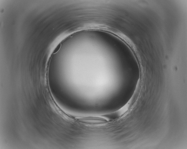 X0000080711296200612151124