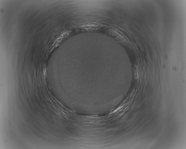 X0000080711298200612151123