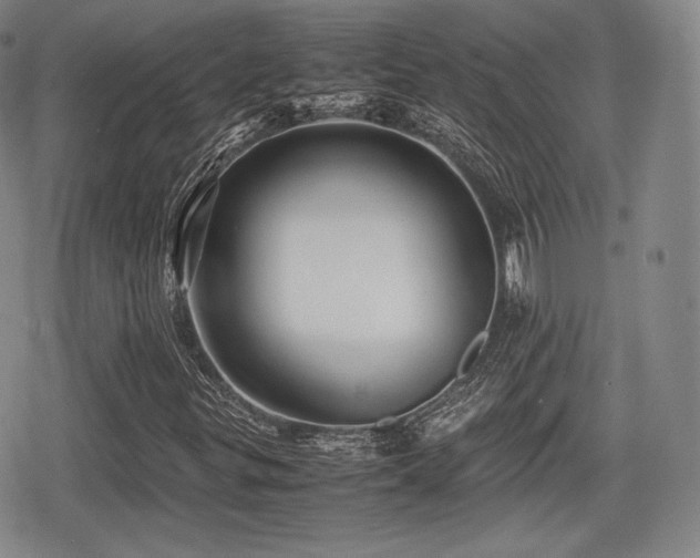 X0000080711299200612151123