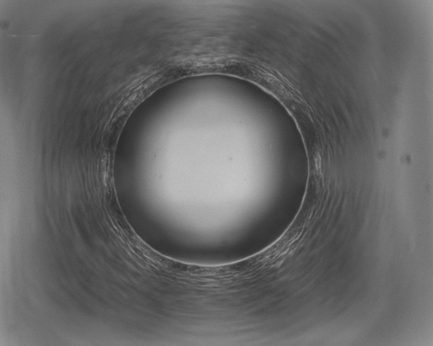 X0000080711300200612151123