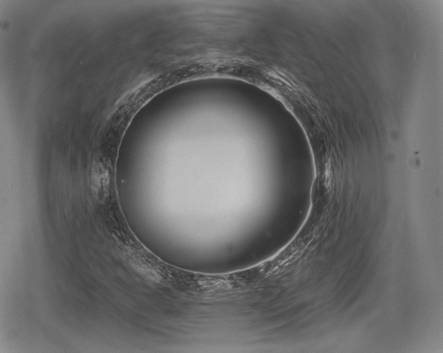 X0000080711302200612151124