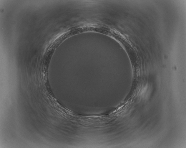 X0000080711303200612151124