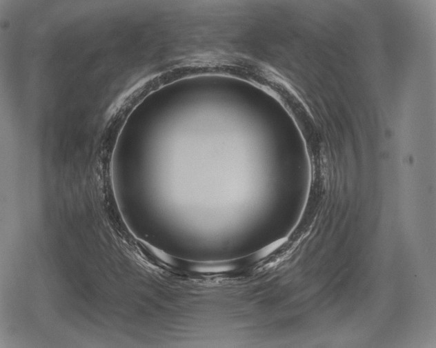 X0000080711304200612151124