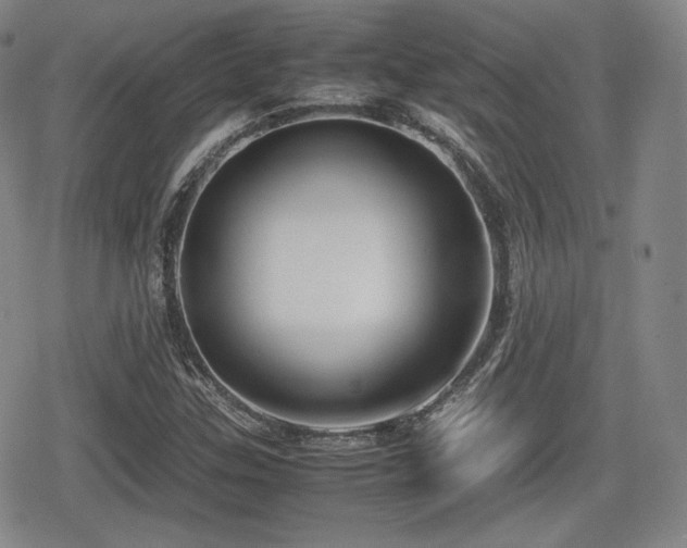 X0000080711307200612151124