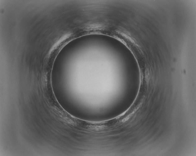X0000080711309200612151124