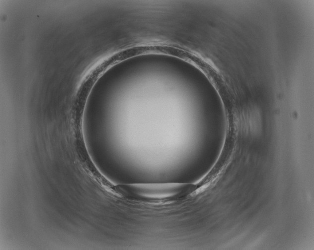 X0000080711311200612151124