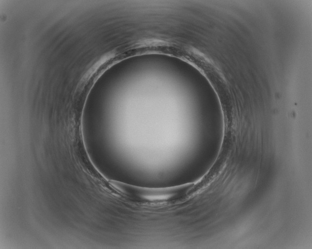 X0000080711313200612151124