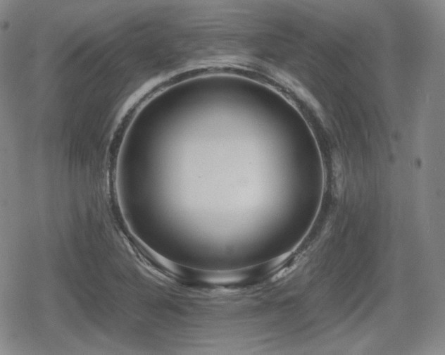 X0000080711316200612151124