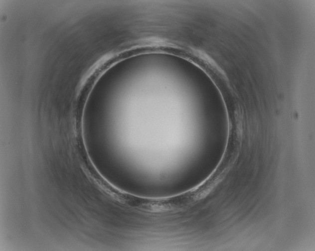 X0000080711318200612151124