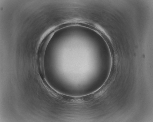 X0000080711320200612151124