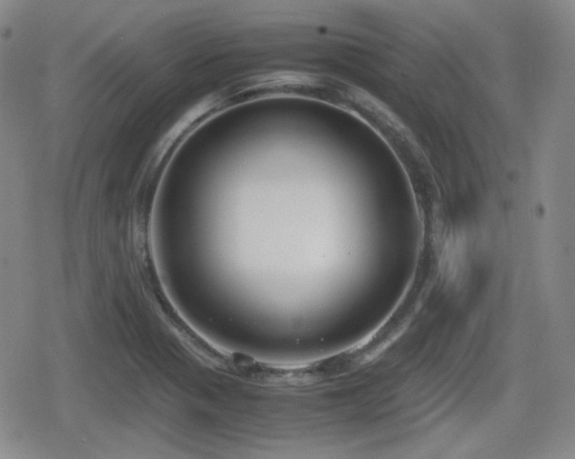 X0000080711321200612151124