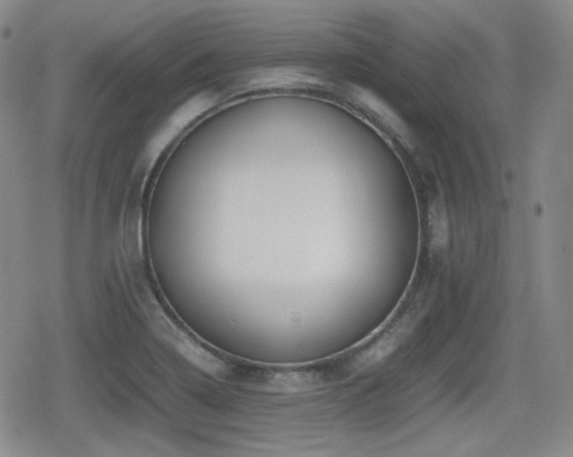 X0000080711322200612151124