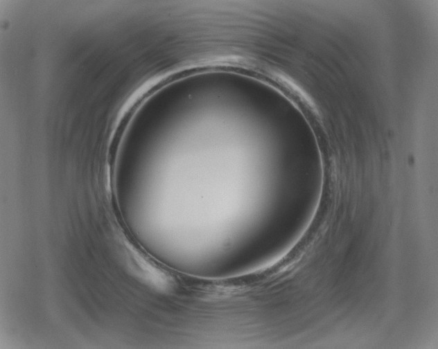 X0000080711324200612151124