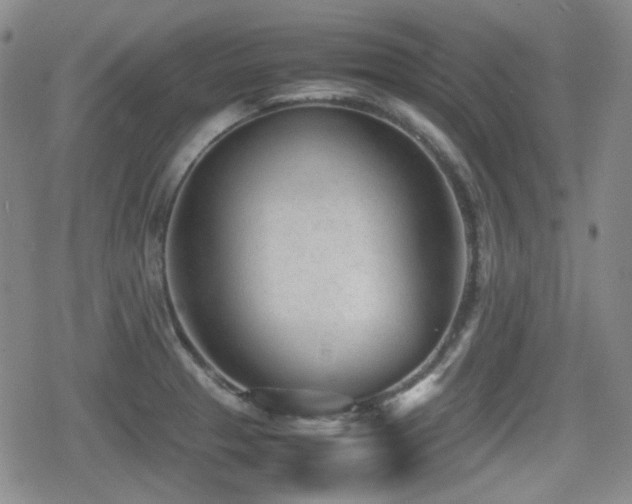 X0000080711329200612151124