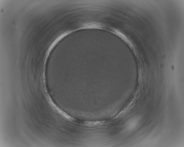 X0000080711331200612151124