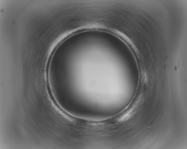 X0000080711335200612151124