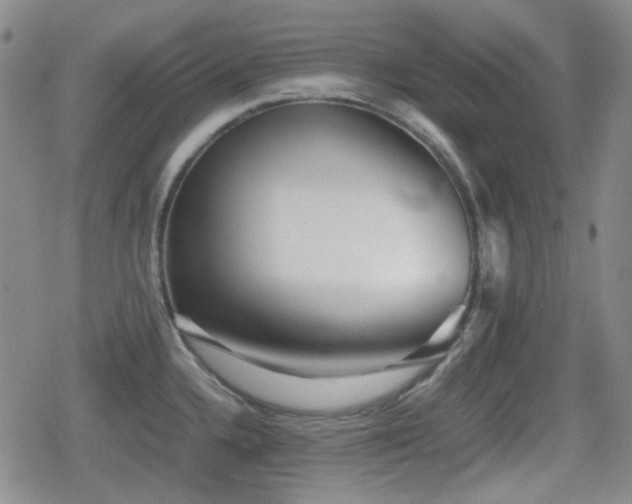 X0000080711336200612151124