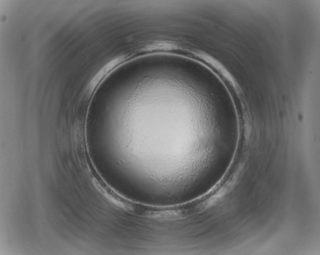 X0000080711337200612151124