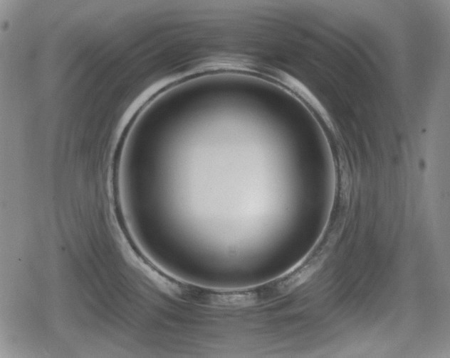 X0000080711339200612151124