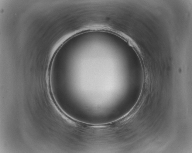 X0000080711343200612151124