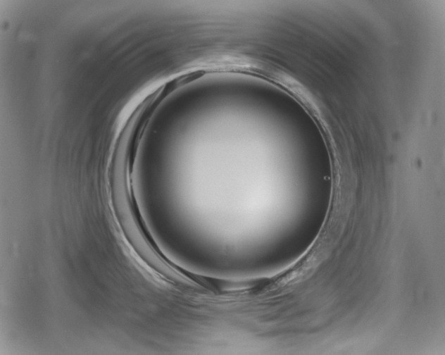 X0000080711344200612151124