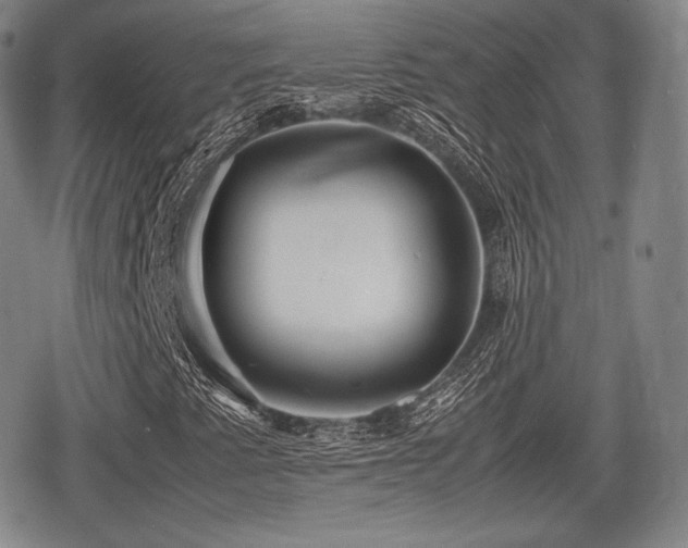 X0000080711345200612151123