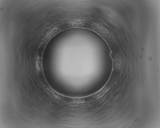 X0000080711346200612151123