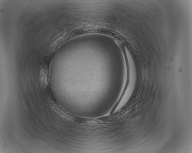 X0000080711348200612151123