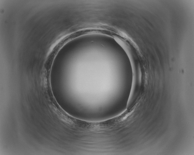 X0000080711360200612151123