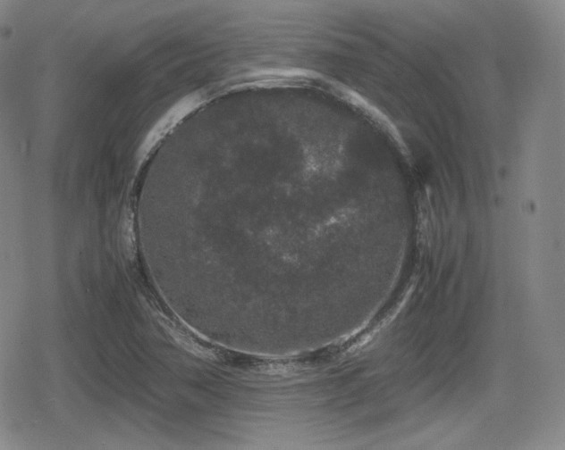 X0000080711362200612151123