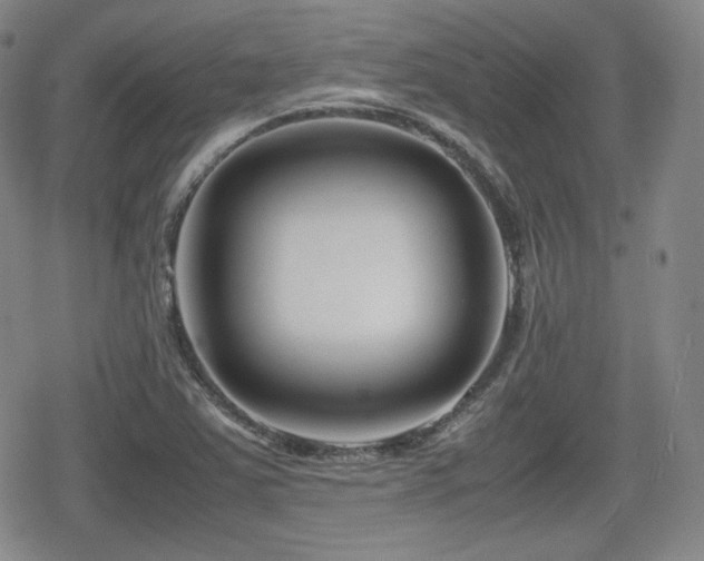 X0000080711363200612151123