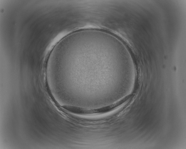 X0000080711367200612151123