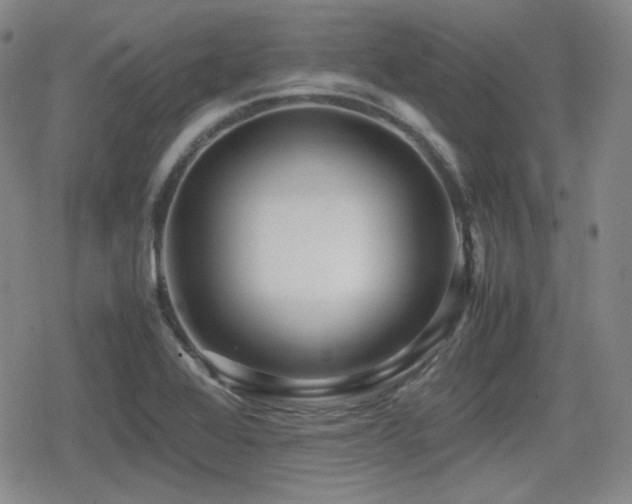 X0000080711368200612151123
