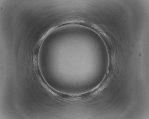 X0000080711369200612151123