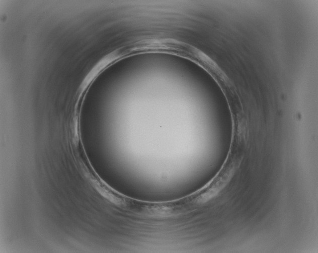 X0000080711370200612151123