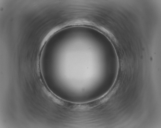 X0000080711374200612151123