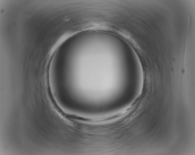 X0000080711375200612151123