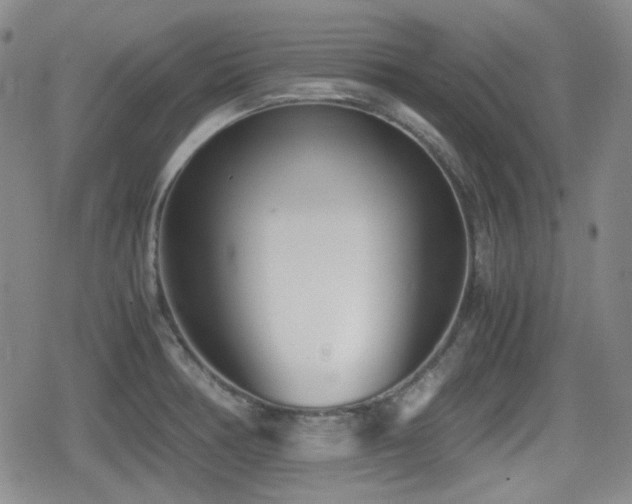 X0000080711378200612151123
