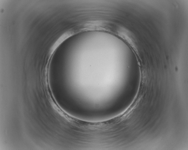 X0000080711386200612151123