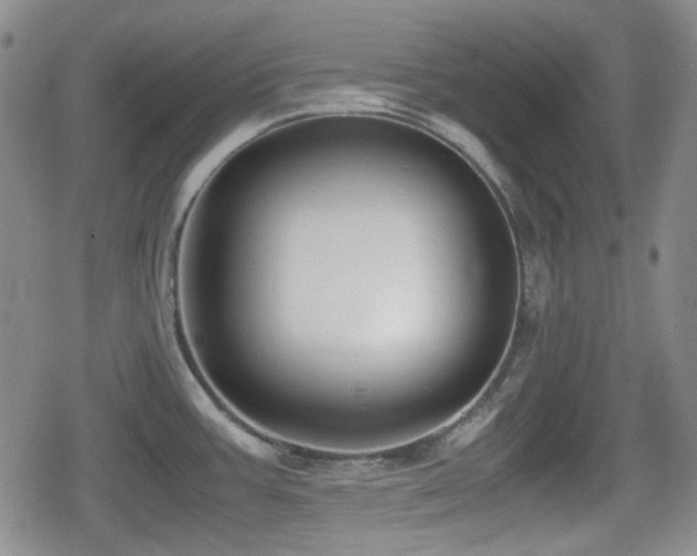 X0000080711387200612151123
