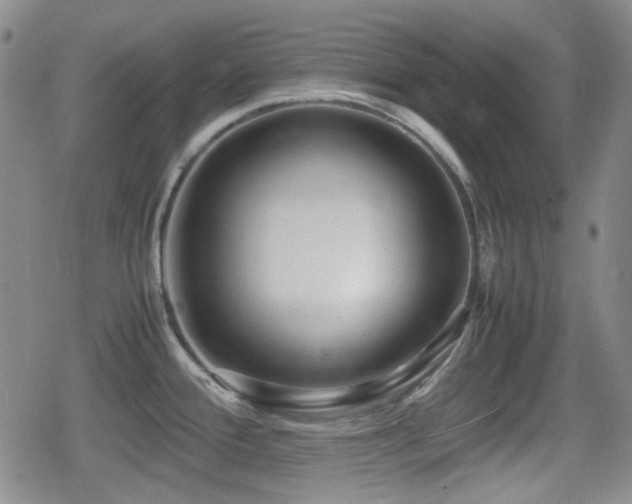 X0000080711388200612151123