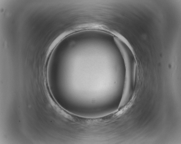 X0000080711389200612151123