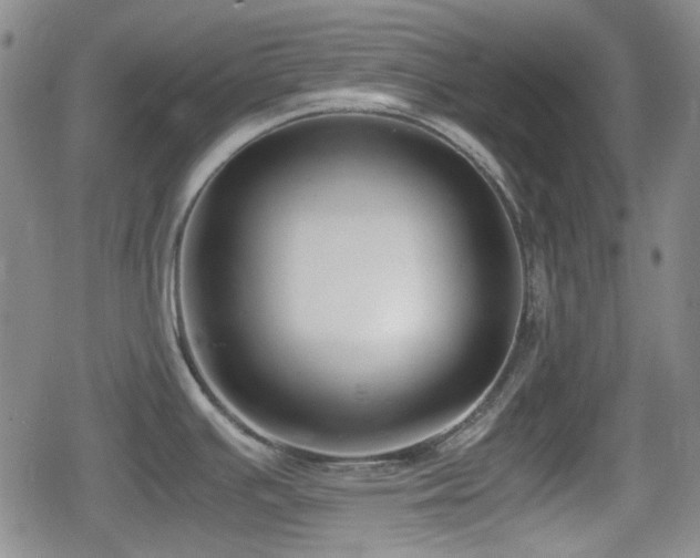 X0000080711391200612151123