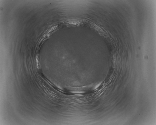 X0000080711394200612151122
