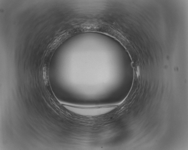 X0000080711396200612151122