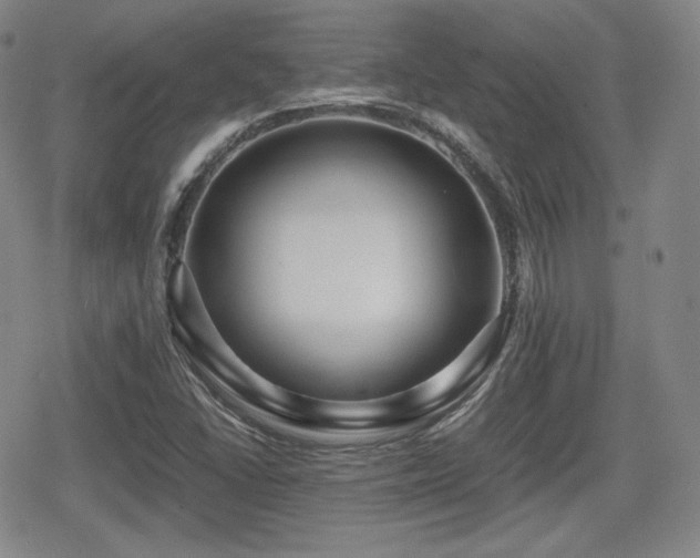 X0000080711406200612151122