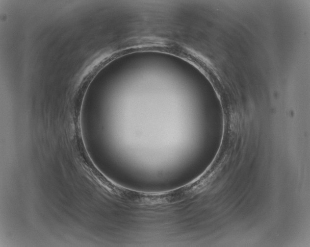 X0000080711407200612151122
