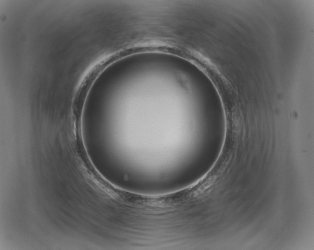 X0000080711408200612151122